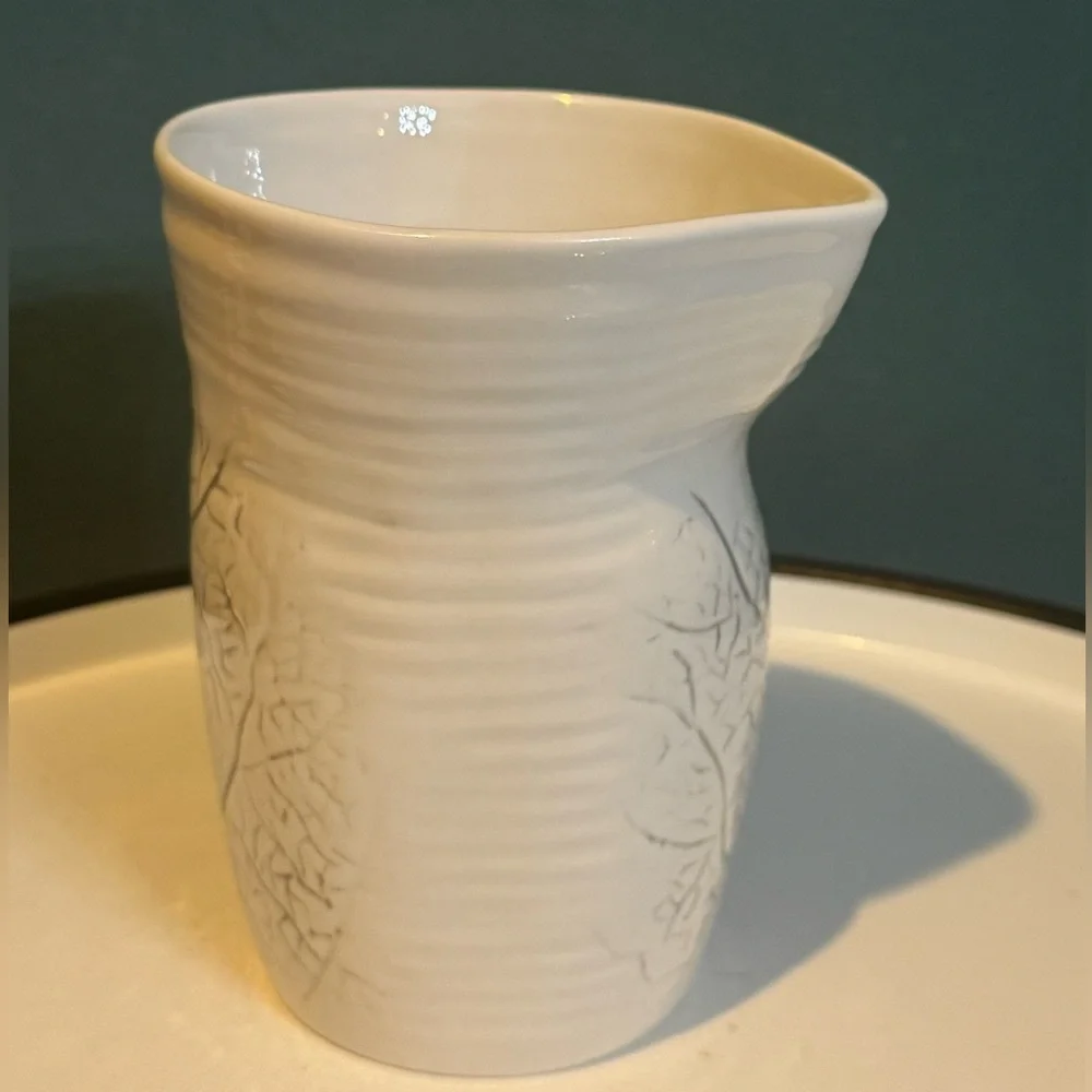 West Elm DbO Home Textured botanical pitcher - Modern